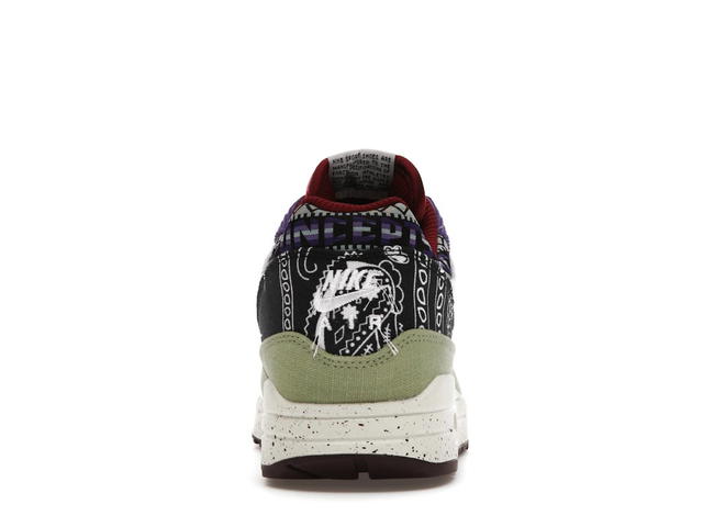 Nike Nike Air Max 1 SP Concepts Mellow - view 4