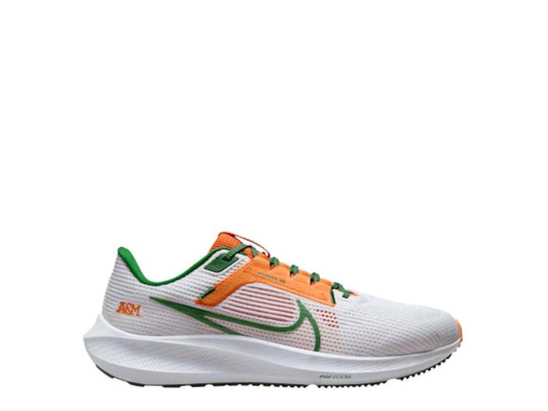 Nike Nike Pegasus 40 FAMU