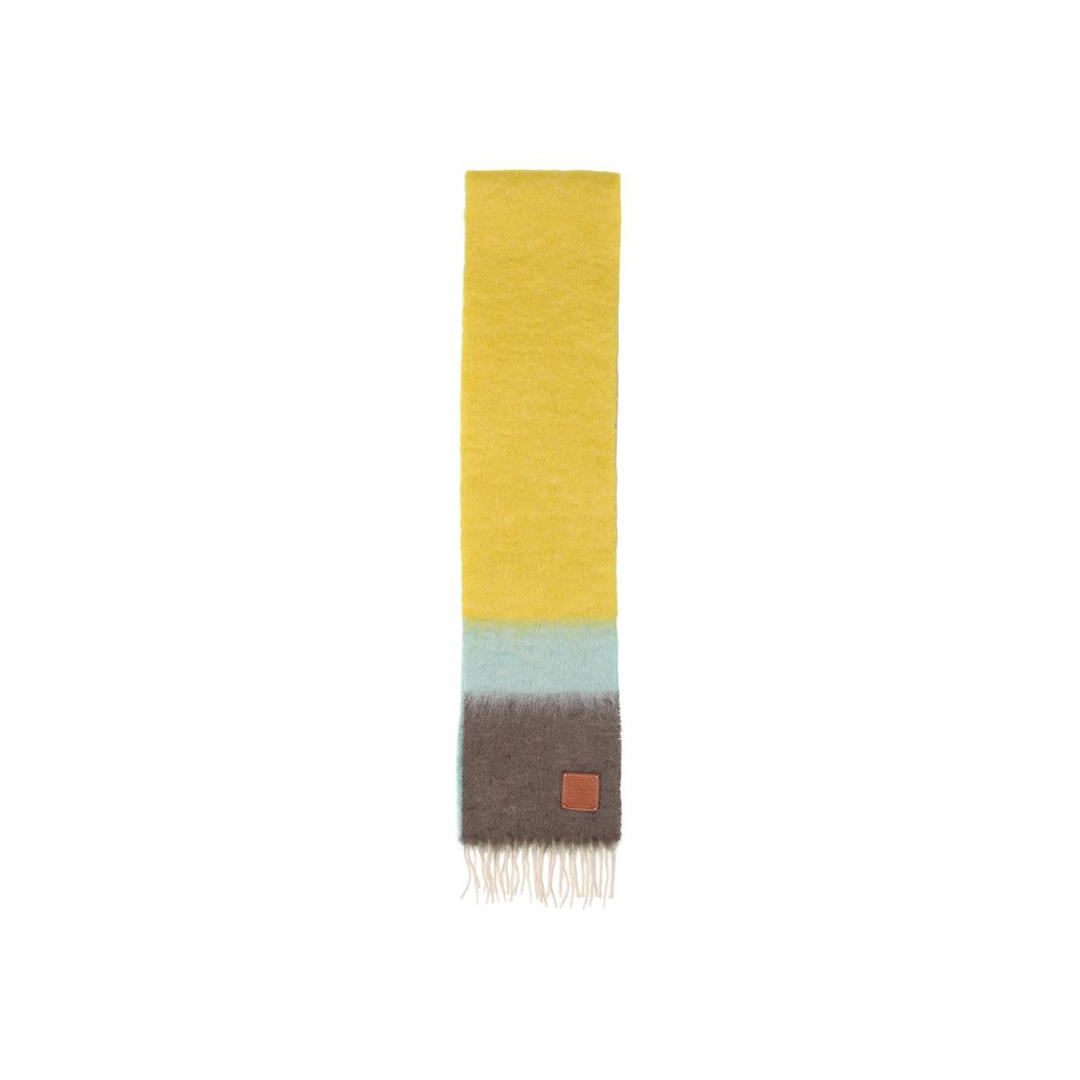 Loewe Loewe Knit Scarves Women's
