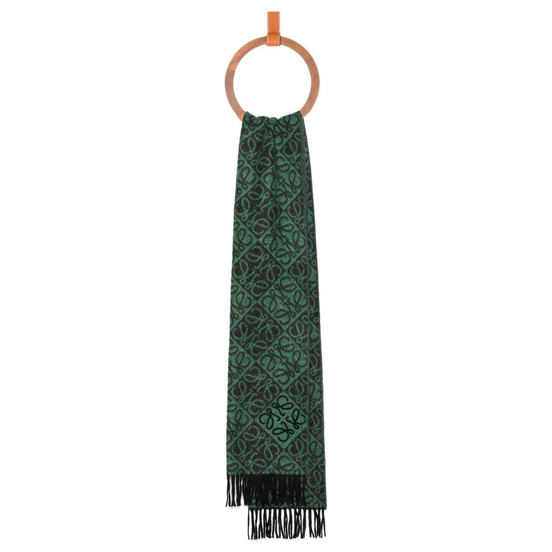 Loewe Loewe Wool Cashmere Knit Scarves Unisex Green