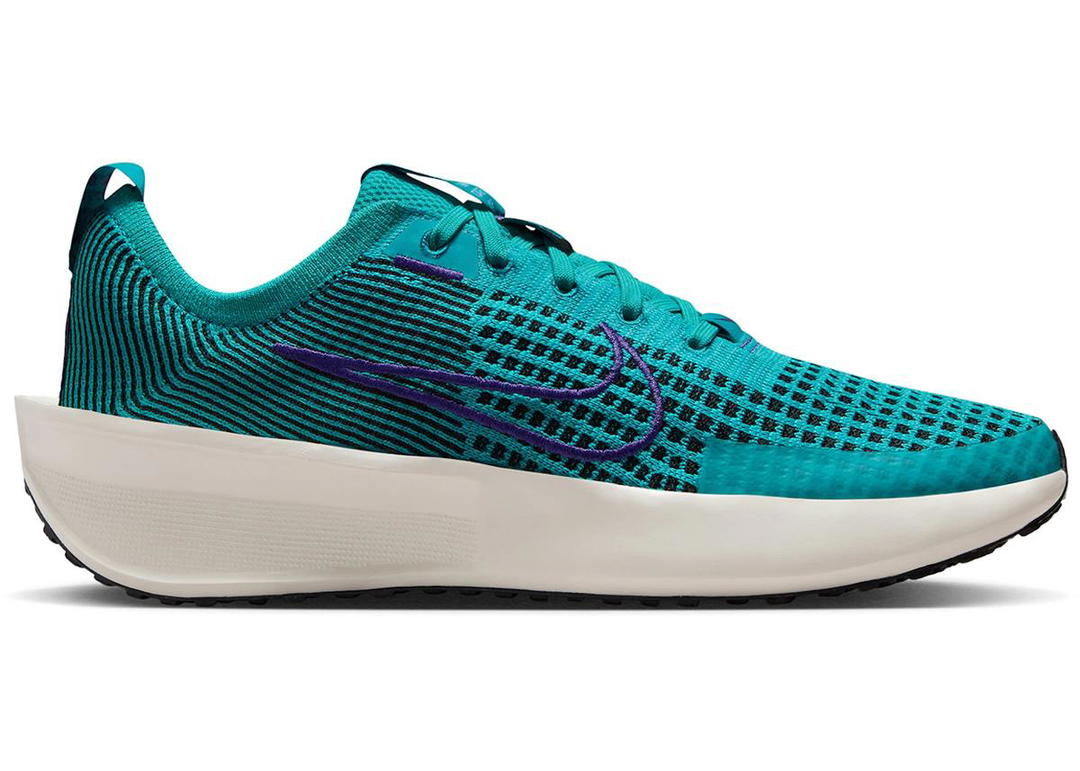 Nike Nike Interact Run Dusty Cactus Sail Black Court Purple (Women's)