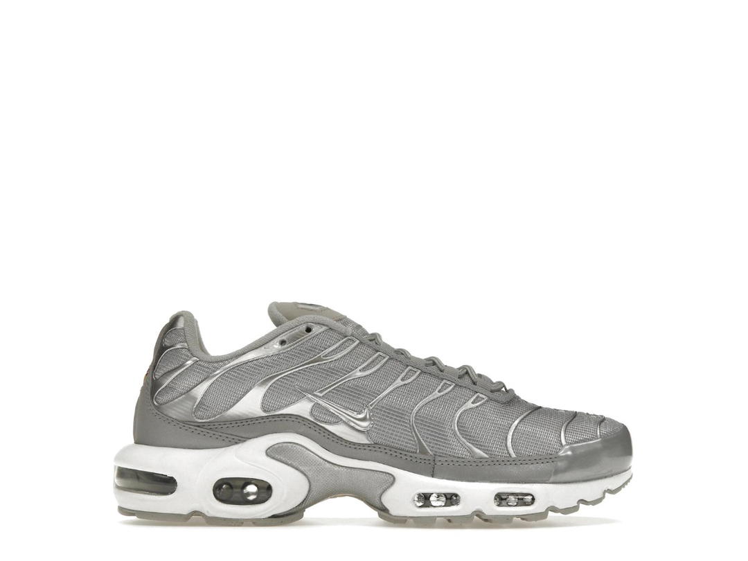 Nike Nike Air Max Plus Metallic Silver