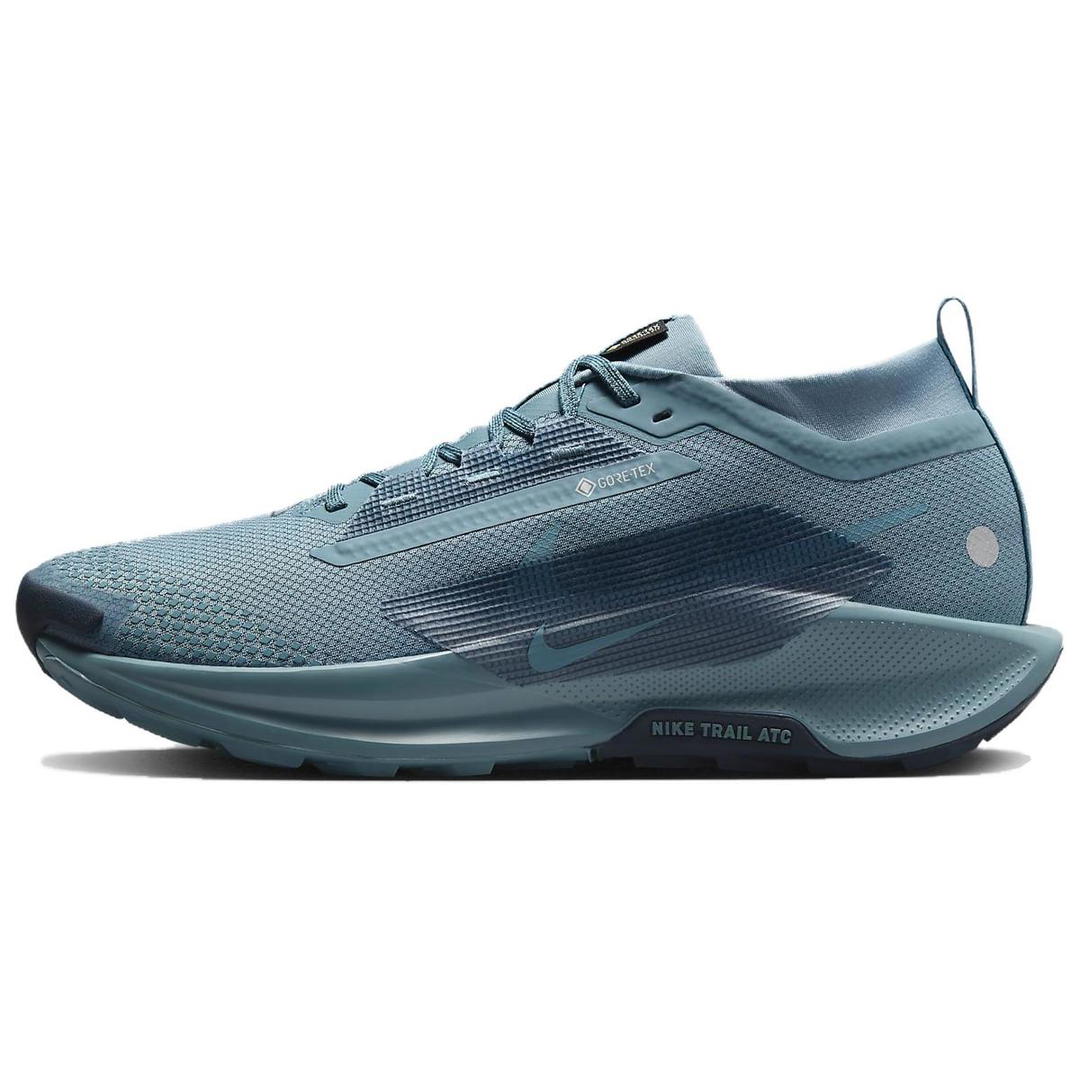 Nike Nike Pegasus Trail 5 Gtx 'Smokey Blue Armory Navy'
