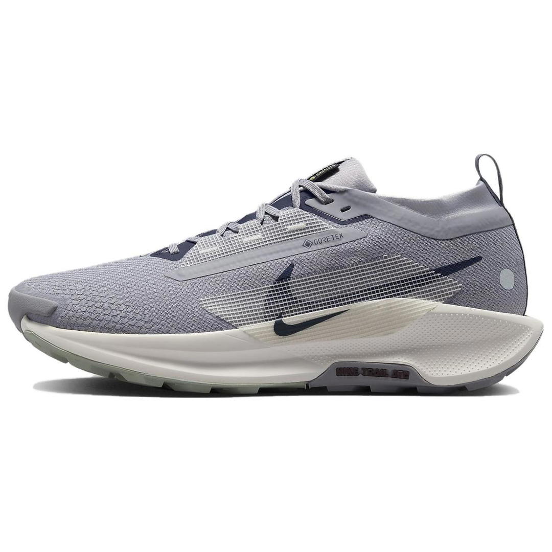 Nike Nike Pegasus Trail 5 Gtx 'Cement Grey'