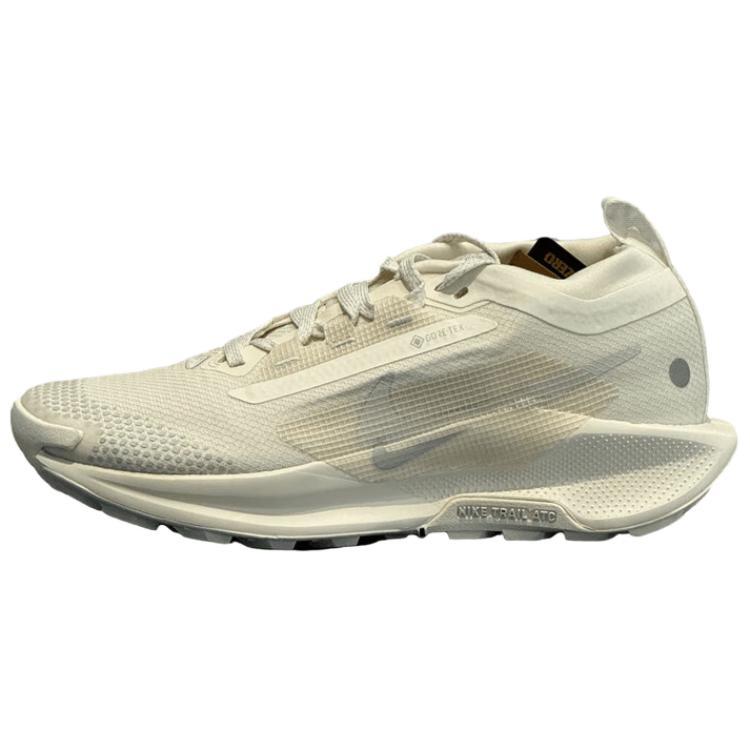 Nike Nike Pegasus Trail 5 Gtx 'Sail Photon Dust' Women's