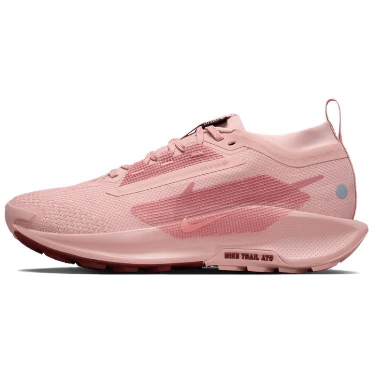 Nike Nike Pegasus Trail 5 Anti Slip Wear Resistant Low Top Running Shoes Women's Pink
