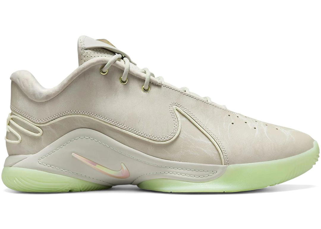 Nike Nike LeBron 22 Dunkman