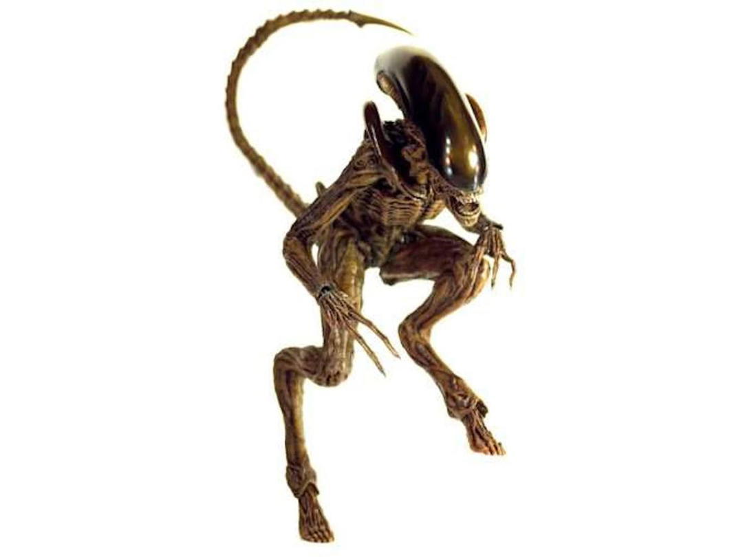 Hot Toys Hot Toys Alien Movie Masterpiece Dog Alien Collectible Figure