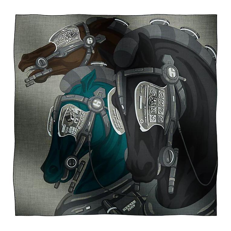 Hermes Hermes Cashmere Silk Silk Scarves Men's Multicolor