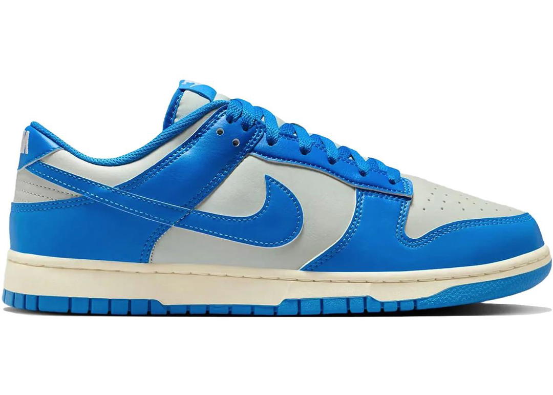 Nike Nike Dunk Low Detroit Lions