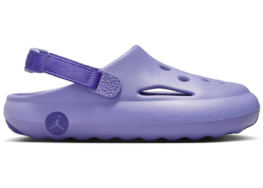 Jordan Jordan Hydrip Dusty Amethyst Court Purple (GS)