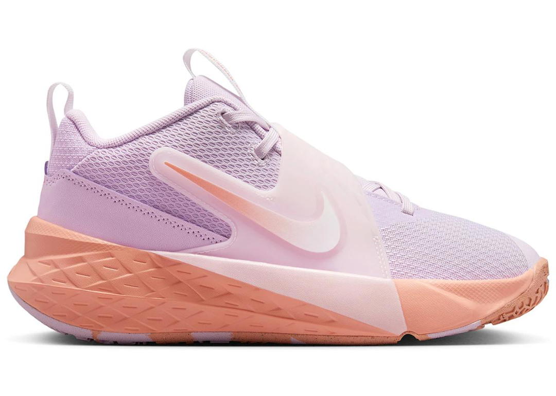 Nike Nike Team Hustle D 12 Doll Pearl Pink White Apricot Agate (GS)