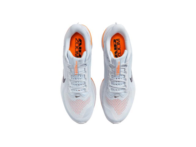 Nike Nike Air Zoom Pegasus Premium Airscape - view 4