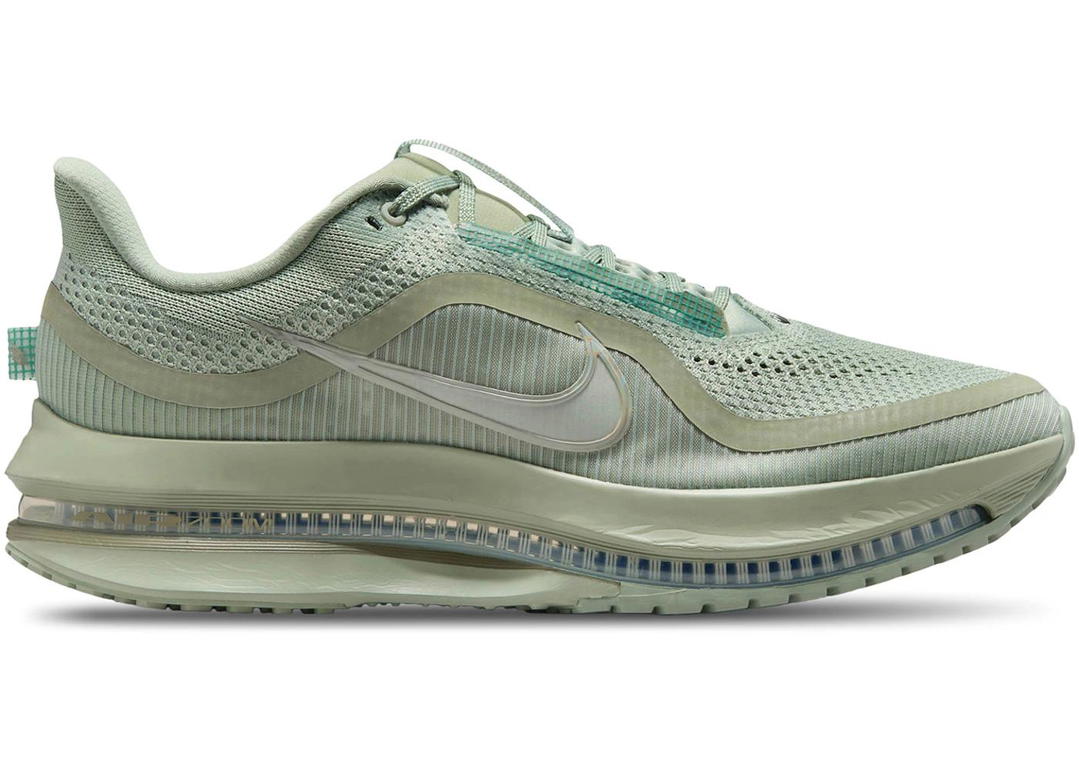 Nike Nike Air Zoom Pegasus Premium Jade Horizon
