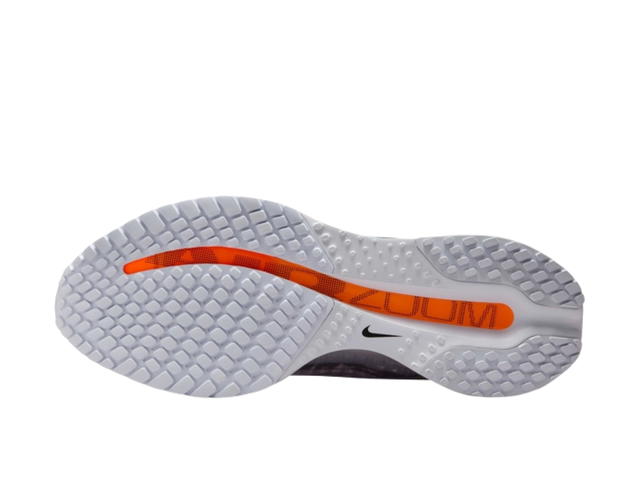 Nike Nike Air Zoom Pegasus Premium Airscape (W) - view 4