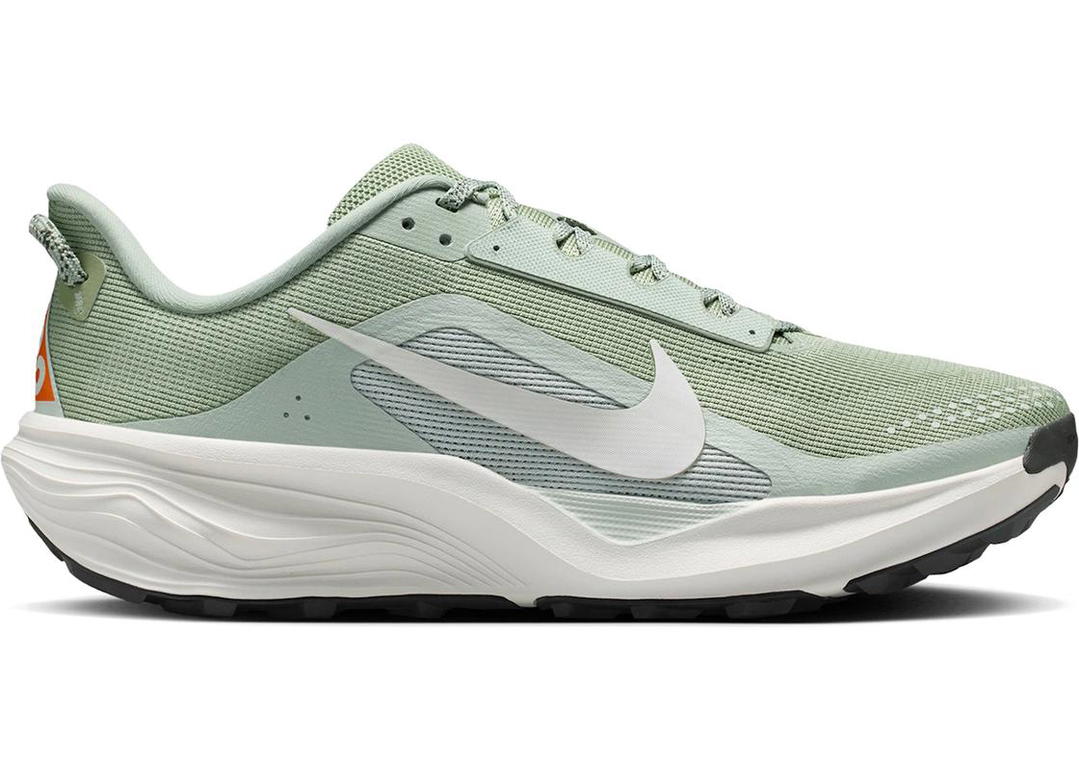 Nike Nike ACG Pegasus Trail Jade Horizon Light Silver