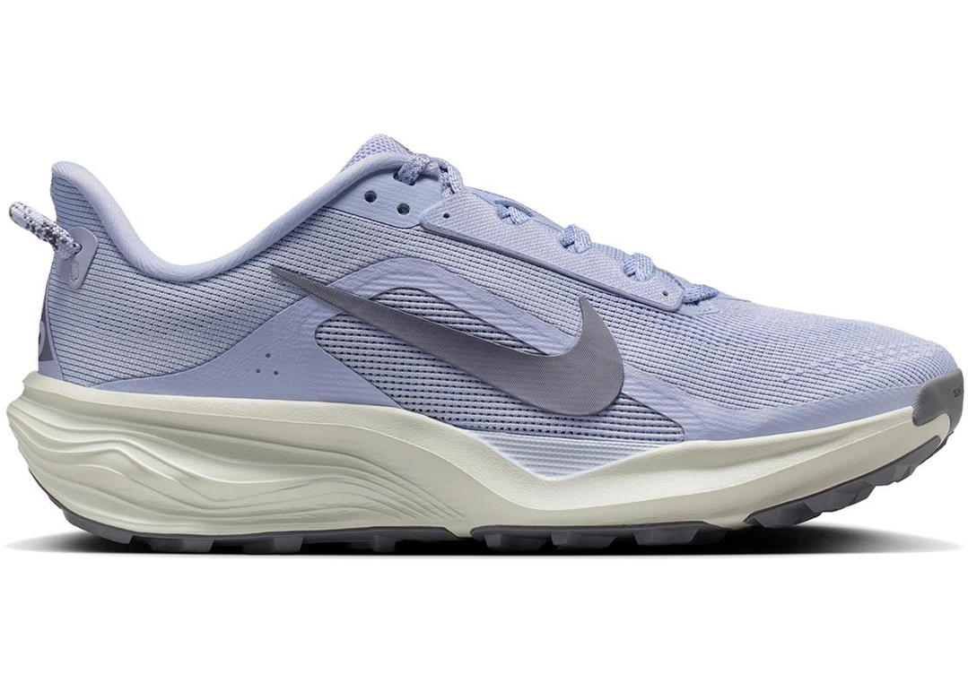 Nike Nike ACG Pegasus Trail Ghost Mineral Slate (Women's)