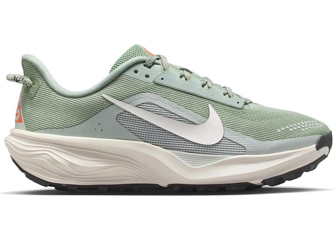 Nike Nike ACG Pegasus Trail Jade Horizon Light Silver (Women's)