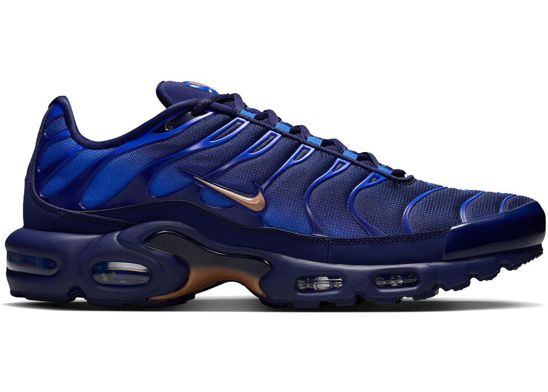 Nike Nike Air Max Plus French Football Federation