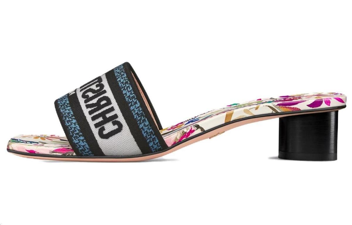 Dior Dior Dway Slide Slippers 3.5cm Women's Multicolor