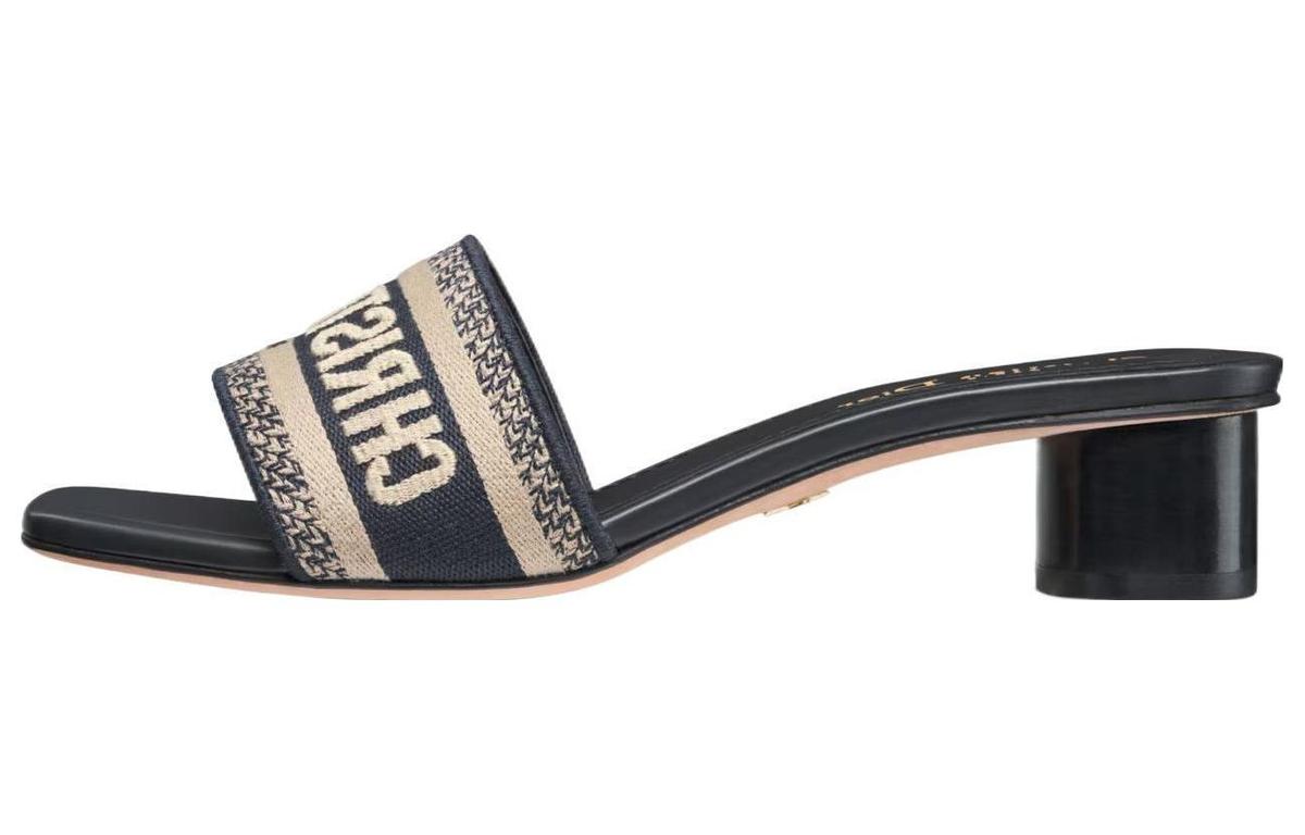 Dior Dior Dway Antibacterial Slide Slippers Women's Dark Blue