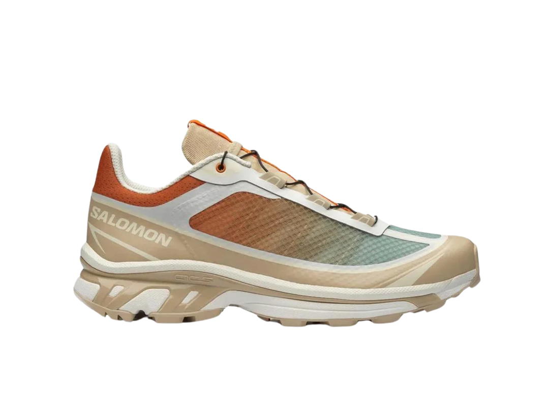Salomon Salomon XT-6 FT White Pepper