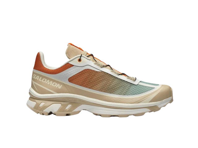 Salomon Salomon XT-6 FT White Pepper - view 1