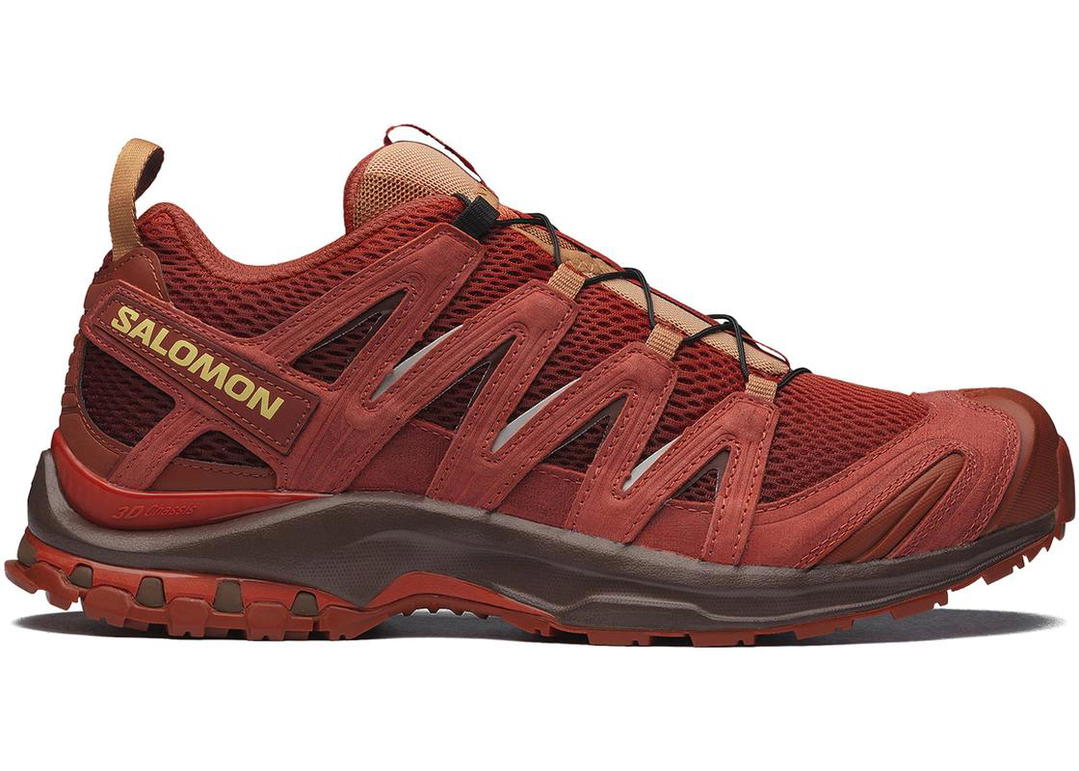Salomon Salomon XA Pro 3D Red Ashes