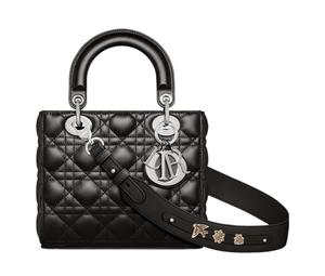 Buy Dior Lady DiorMy ABCDior Lambskin Shoulder Bag Crossbody Bag Handbag Small Size Women's Black at Sasom – Authentic and Ready to Ship