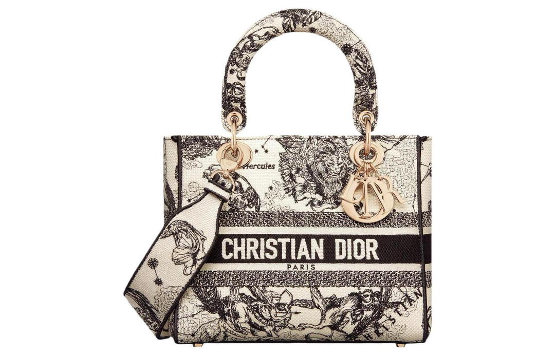 Dior Dior Embroidery Handbag Daphne Bag Shoulder Bag Crossbody Bag Handbag Medium Size Women's Milk White