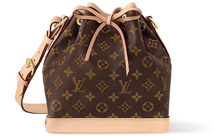 Louis Vuitton Louis Vuitton Canvas Bucket Bags Crossbody Bag Shoulder Bag Women's Brown