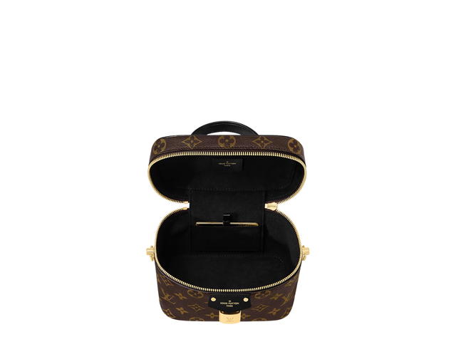 Louis Vuitton Louis Vuitton Vanity Pm Bag In Monogram and Monogram Reverse Canvas With Gold Hardware - view 2
