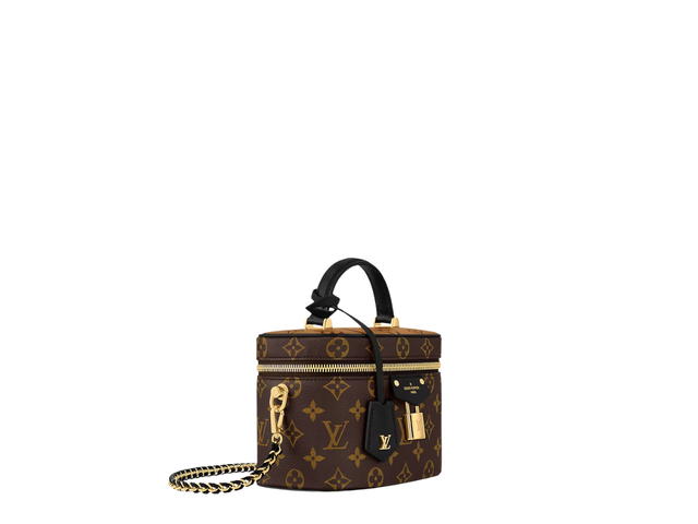 Louis Vuitton Louis Vuitton Vanity Pm Bag In Monogram and Monogram Reverse Canvas With Gold Hardware - view 3