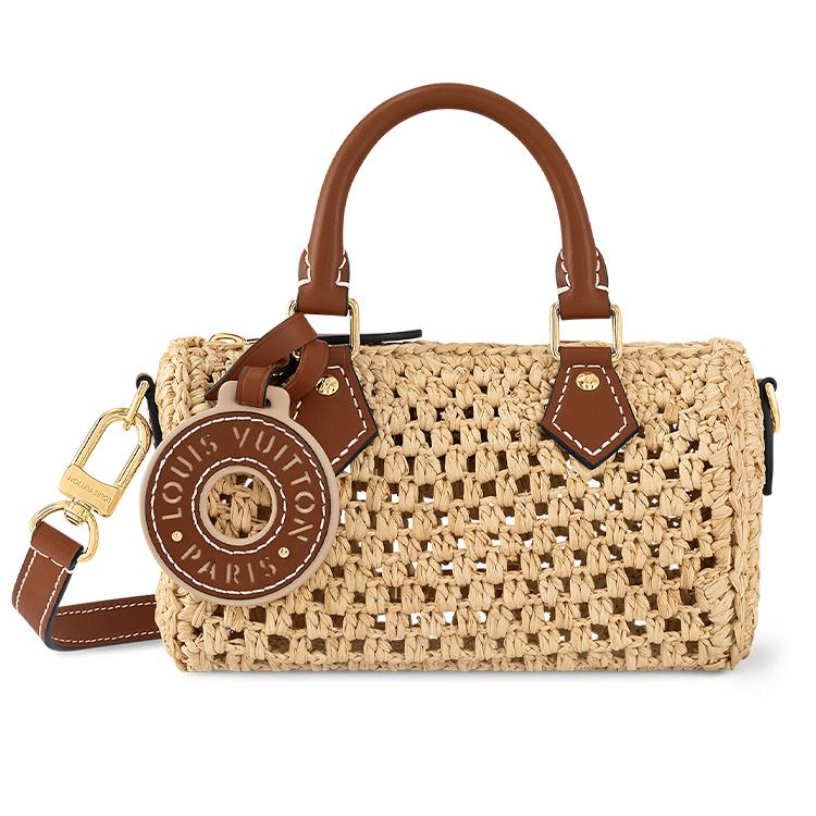 Louis Vuitton Louis Vuitton Nano Speedy