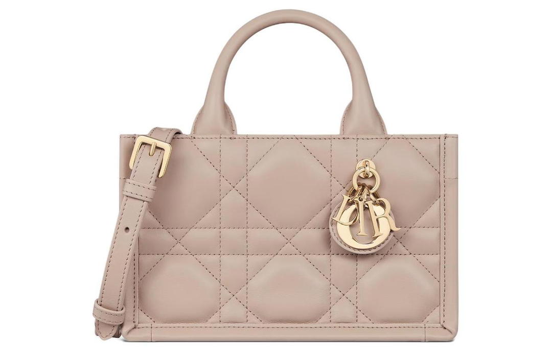 Dior Dior BookTote Handbags