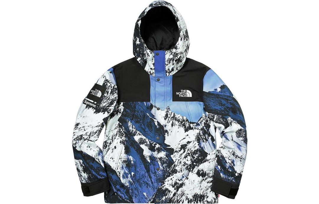 Supreme Supreme The North Face Mountain Parka
