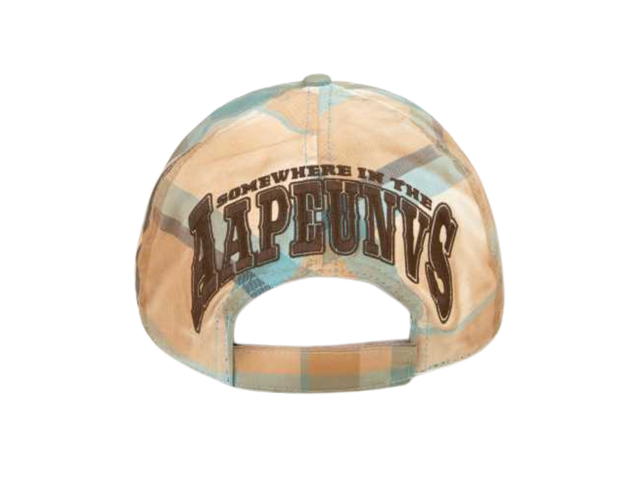 AAPE AAPEUNVS check cap - view 2