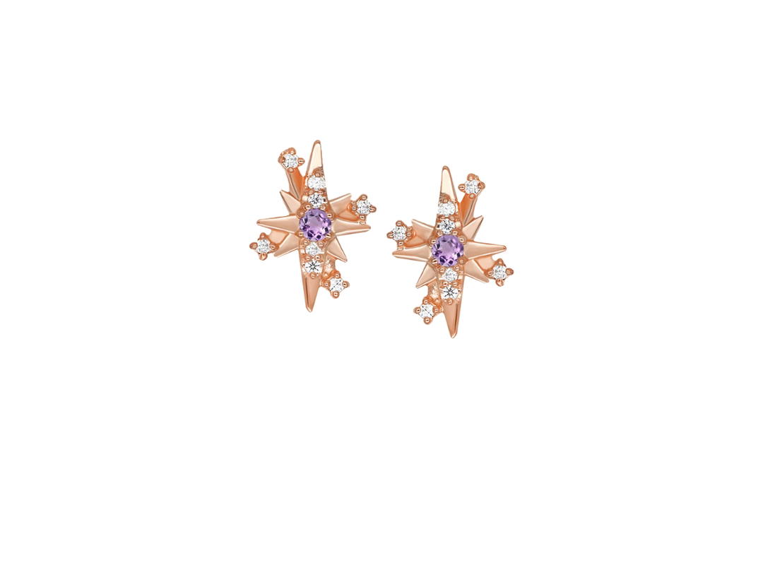 ACEMI Jewelry A.CEMI Amethyst 12 Fortune Star Earring