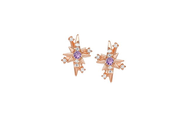 ACEMI Jewelry A.CEMI Amethyst 12 Fortune Star Earring - view 1