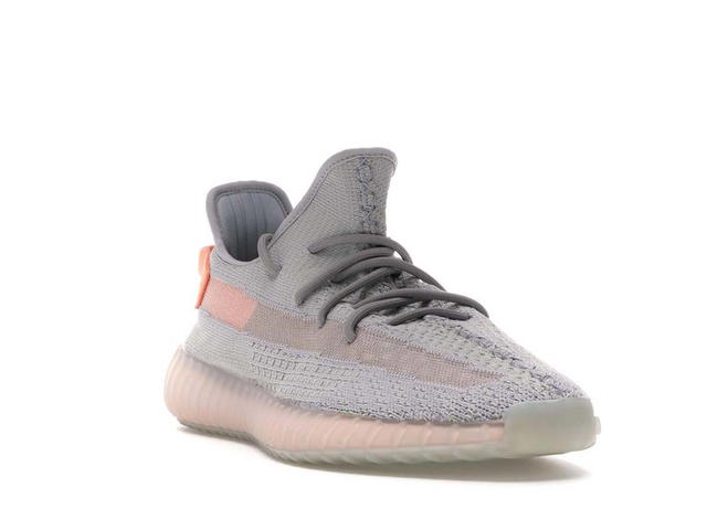 adidas adidas Yeezy Boost 350 V2 True Form - view 3
