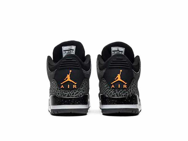 Jordan Jordan 3 Retro Fear Pack (2013) - view 4