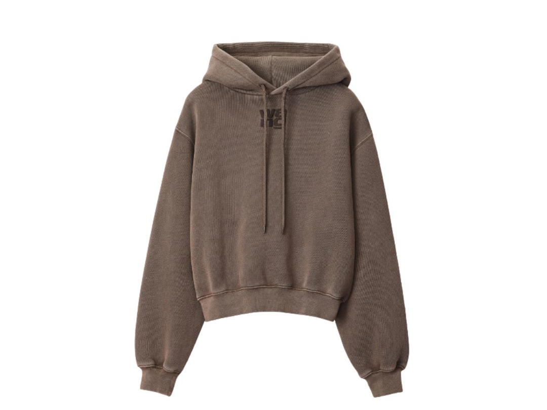 Alexander Wang Alexander Wang Puff Logo Hoodie Structured Terry Brown
