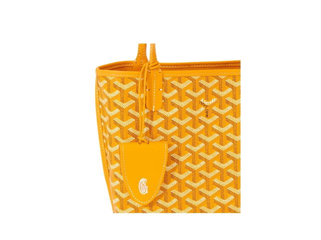 Goyard Goyard Anjou Mini Bag Leather Croc Universel Yellow - view 5