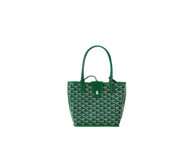 Goyard Goyard Anjou Mini Bag Leather Croc Universel Green - view 1