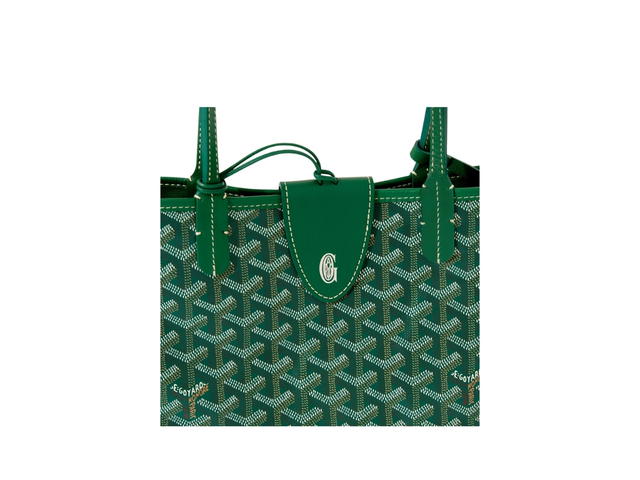 Goyard Goyard Anjou Mini Bag Leather Croc Universel Green - view 4