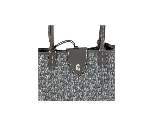 Goyard Goyard Anjou Mini Bag Leather Croc Universel Grey - view 4