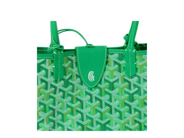 Goyard Goyard Anjou Mini Bag Multicoloured Meadow Green - view 4
