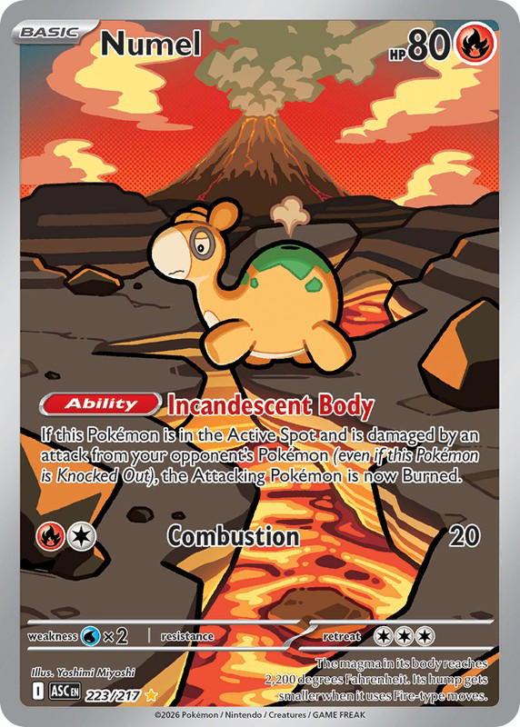 Pokemon Pokemon Numel IR [ASC 223/217] Mega Evolution "Ascended Heroes" (EN)