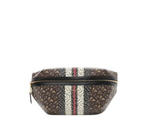 Buy Burberry Stripe E-Canvas Belt Bag Brown at Sasom – Authentic and Ready to Ship