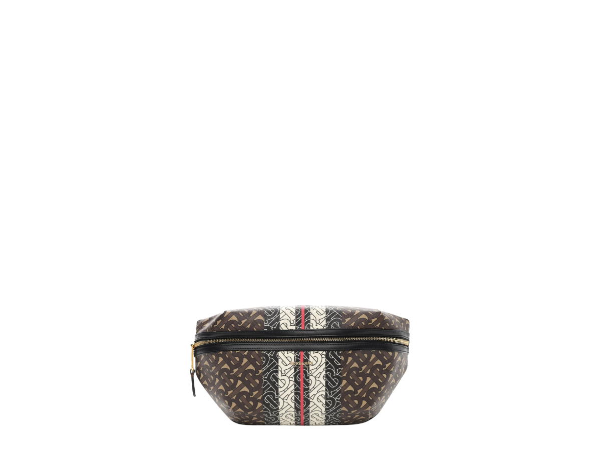 Burberry Burberry Stripe E-Canvas Belt Bag Brown